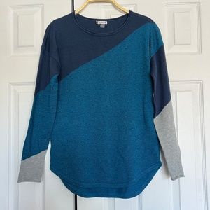 Smartwool Colorblock Sweater NWOT